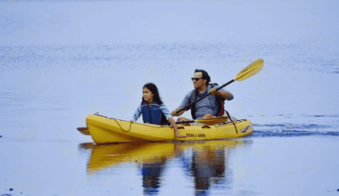 Jamaica Bay Festival Invites New Yorkers Onto the Water