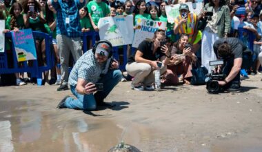 Ocean bound: Endangered Kemp’s ridley sea turtle Pancake returns home after rehabilitation • Brooklyn Paper