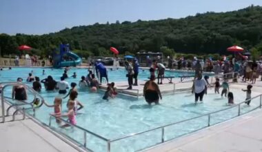 swimmers in pool