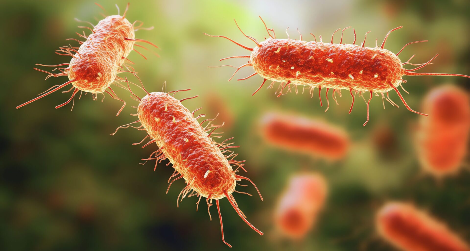 New York City Investigating Legionnaires’ Disease Outbreak on Upper East Side