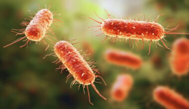 New York City Investigating Legionnaires’ Disease Outbreak on Upper East Side