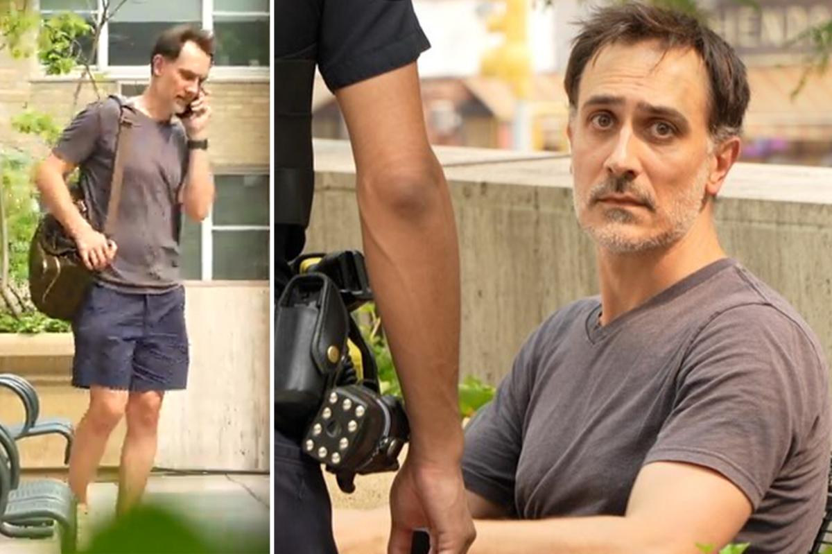 META worker who developed 'digital experiences for kids' admits to trying to sext child in undercover NYC sting