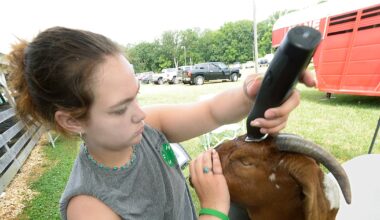 Sweet Corn Queen Pageant candidate series: Hannah Mann – Shaw Local