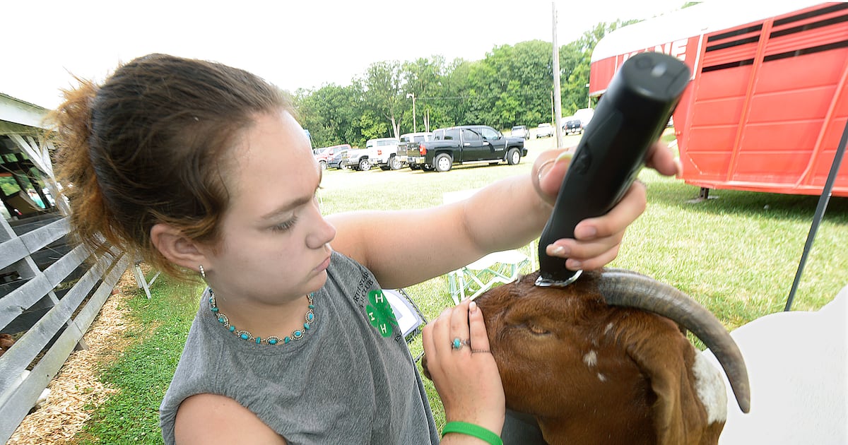 Sweet Corn Queen Pageant candidate series: Hannah Mann – Shaw Local