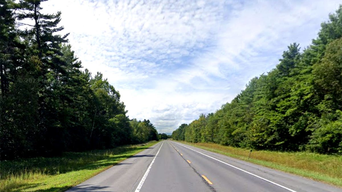 Green trees and grass along a stretch of State Route 374 near the town of Plattsburgh
