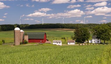 NY Offers $4.7M to Expand New York Meat Processing Capacity – Finger Lakes Daily News