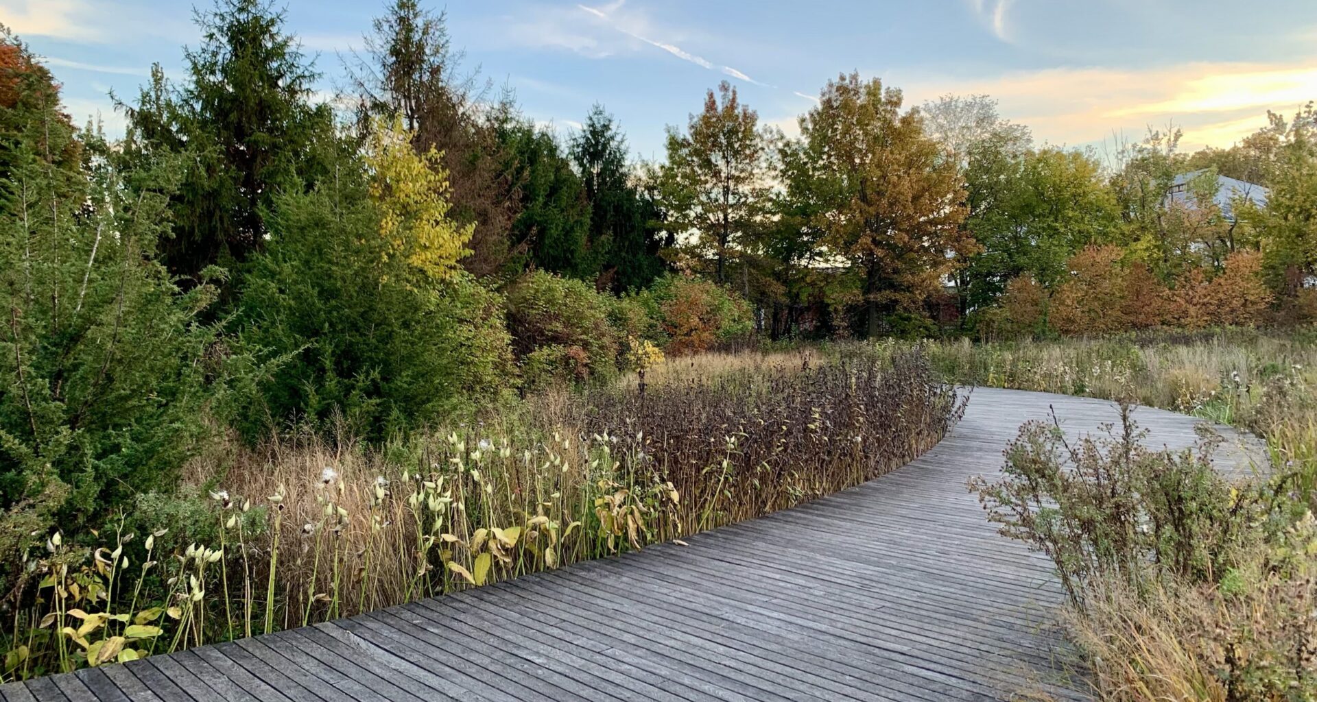 The Greenway Botanical Garden, a restored native plant sanctuary in an abandoned former naval cemetery. Photo: Mary Frost/Brooklyn Eagle.