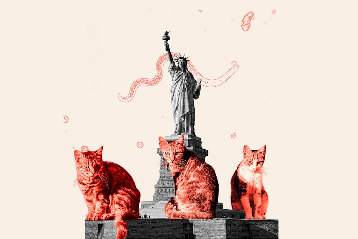 A Newsweek illustration depicting the findings.