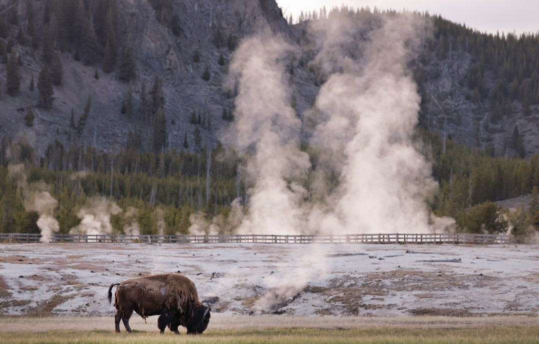America’s National Parks Are Falling Apart. Congress Can Fix Them.