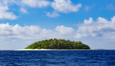 On an island in the Indian Ocean about the size of Manhattan, roughly 50 to 200 people known as the Sentinelese live in complete voluntary isolation — hunting with bows and arrows, speaking a language no outsider has ever understood, and killing every visitor who has come ashore, including an American missionary in 2018