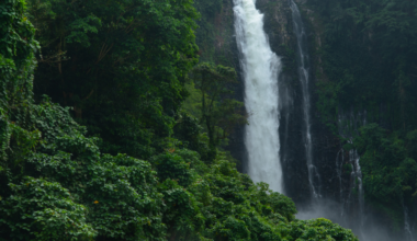 In the jungles of Vietnam there is a cave so vast it has its own river, its own weather, and its own rainforest growing beneath shafts of daylight — large enough to swallow a New York City block of skyscrapers, and no outsider set foot inside it until 2009