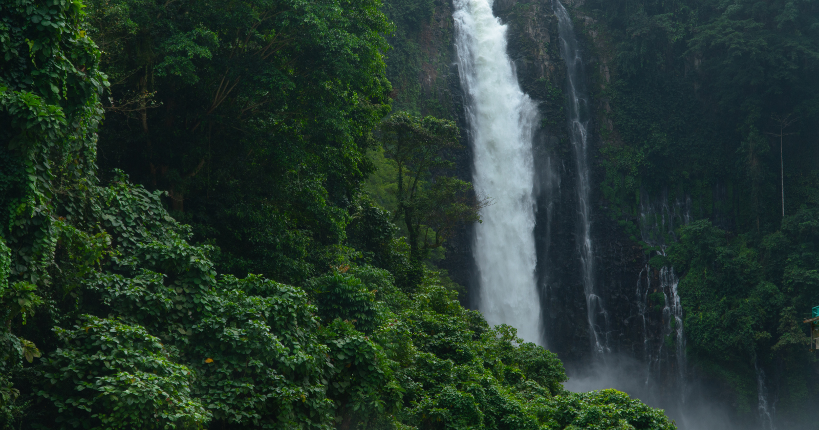 In the jungles of Vietnam there is a cave so vast it has its own river, its own weather, and its own rainforest growing beneath shafts of daylight — large enough to swallow a New York City block of skyscrapers, and no outsider set foot inside it until 2009