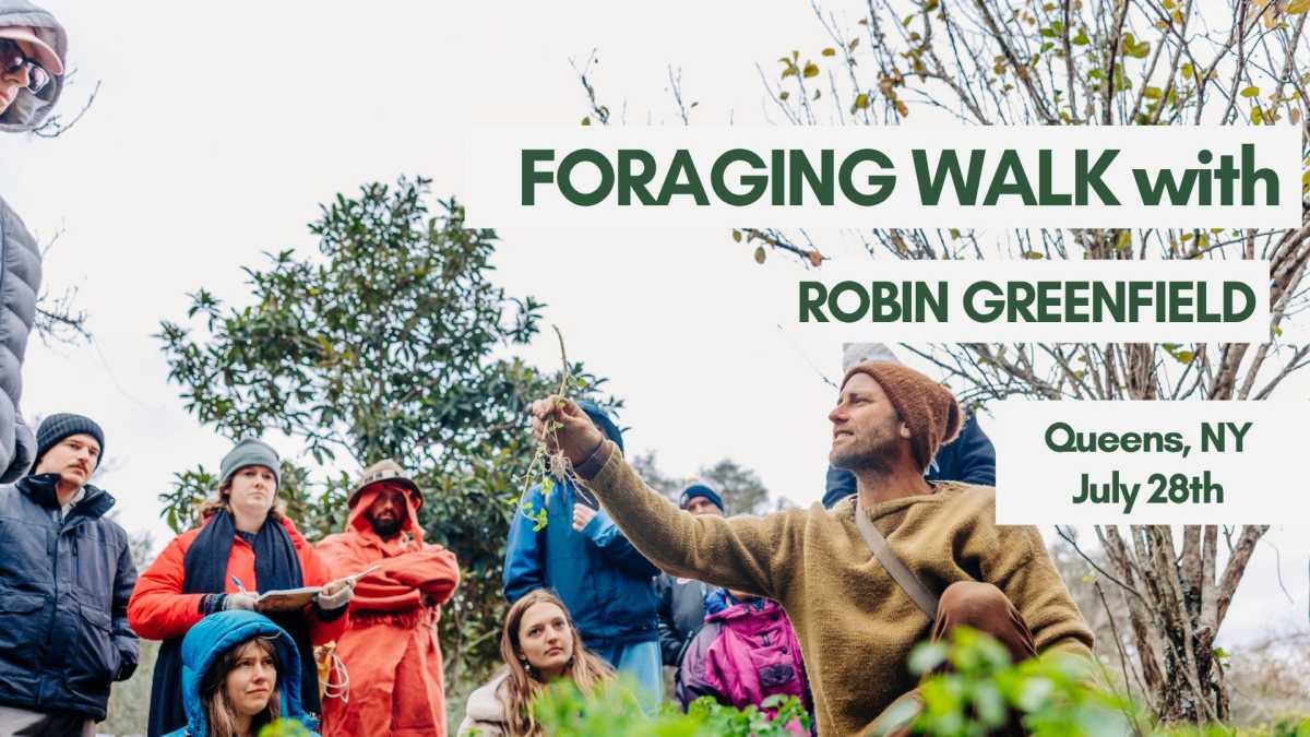 Foraging Walk with Robin Greenfield in Queens