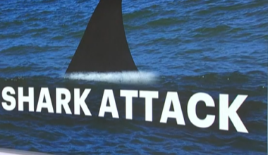 SHARK
