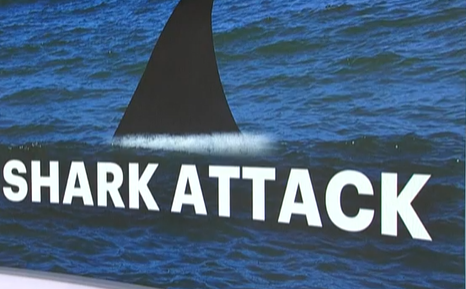 SHARK