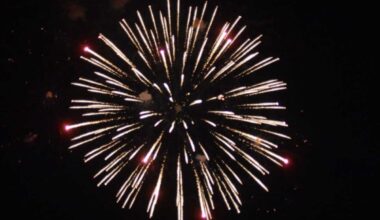 Where to celebrate the 4th of July in the Bronx – Bronx Times