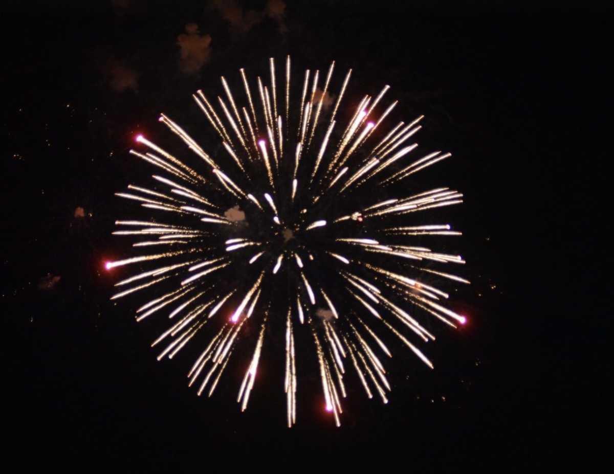 Where to celebrate the 4th of July in the Bronx – Bronx Times