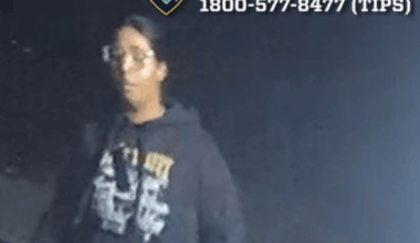 Bedford Park: Four Sought in Gang Assault