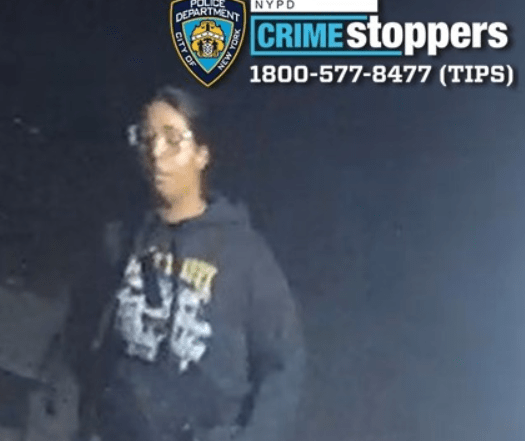Bedford Park: Four Sought in Gang Assault
