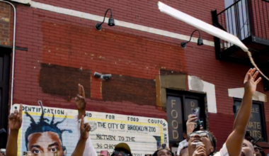 Stereogum home