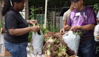 Harvesting Health Market returns for its fourth year, brings free farm-fresh produce to the Bronx – Bronx Times