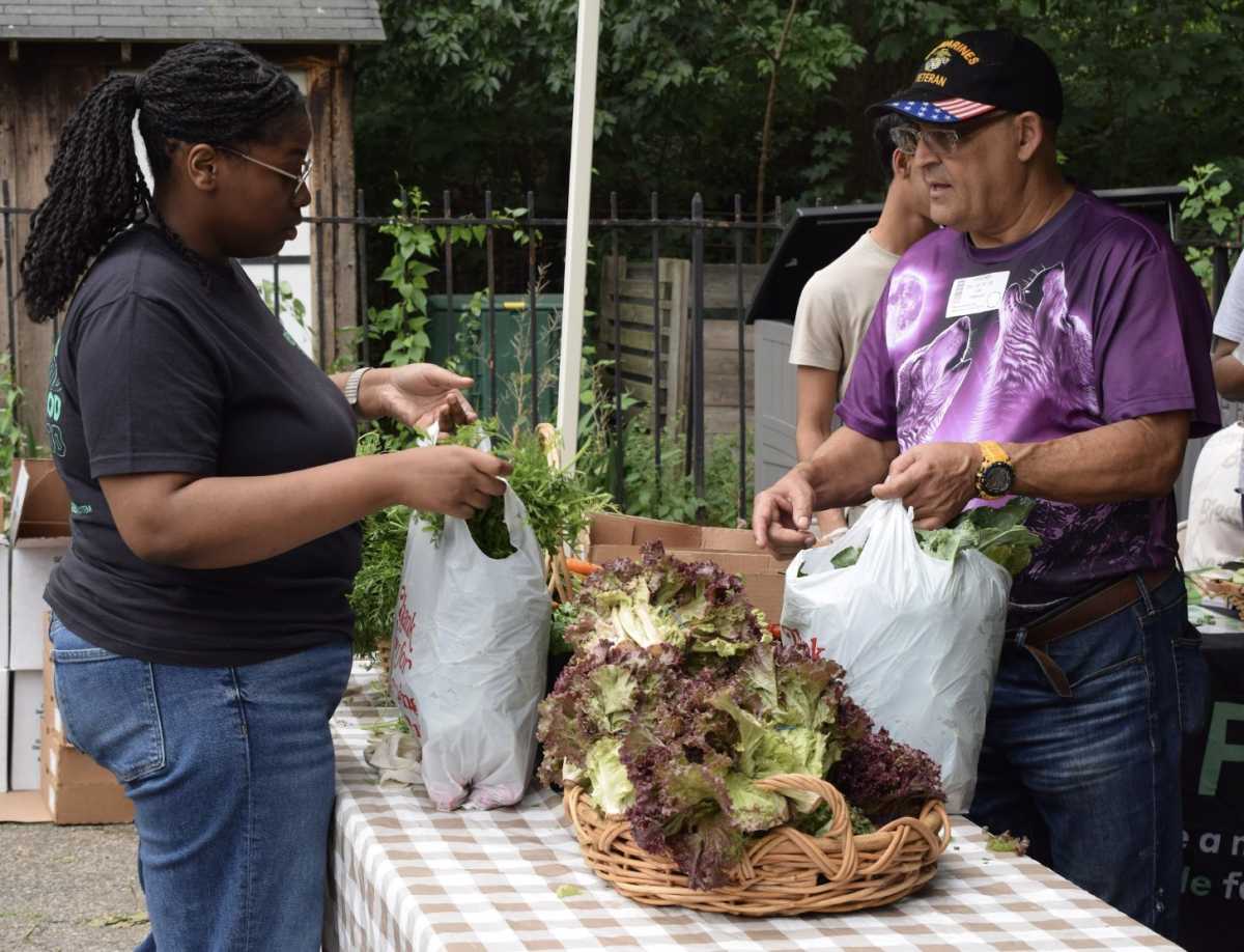 Harvesting Health Market returns for its fourth year, brings free farm-fresh produce to the Bronx – Bronx Times