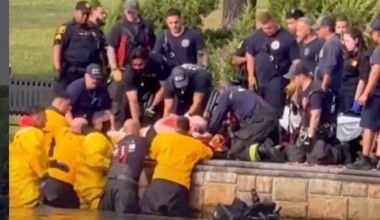 Video: Man In Wheelchair Rescued From Braddock Park Lake