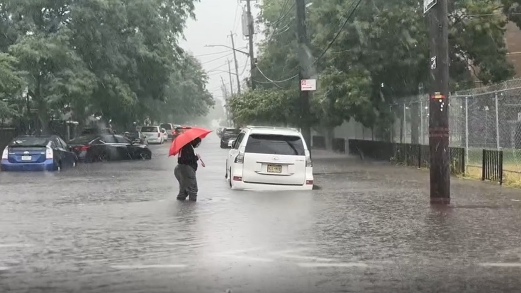 NYCStormCortelyouRdE37thStBKSG001