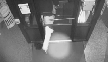 News 12 | Westchester | Family Owned New Rochelle Restaurant Loses More Than 30000 In Brazen Burglary