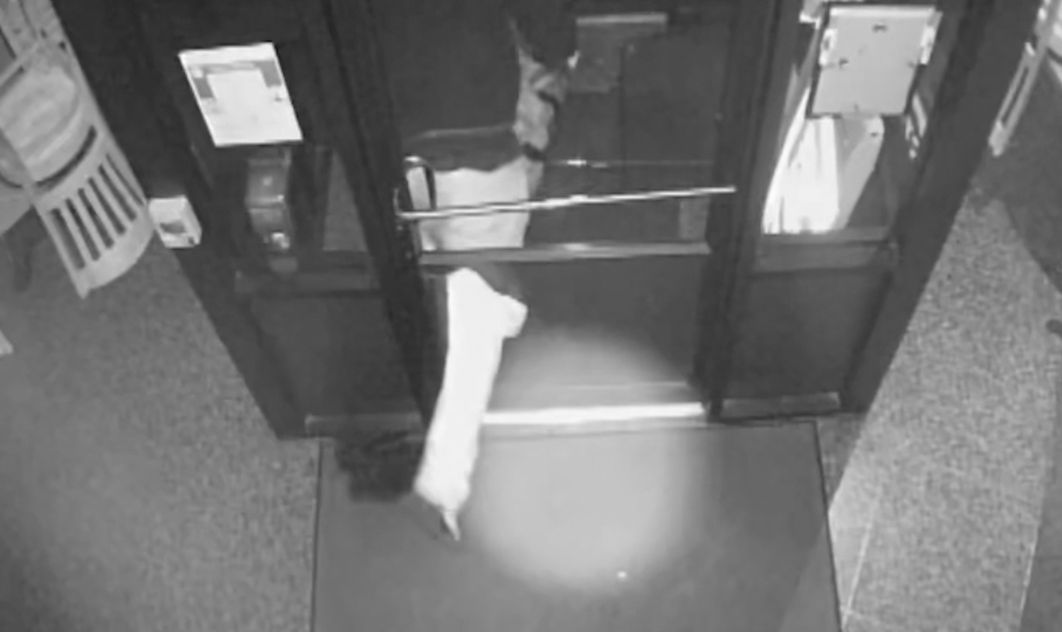 News 12 | Westchester | Family Owned New Rochelle Restaurant Loses More Than 30000 In Brazen Burglary