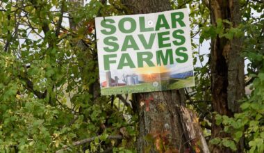 New York takes on the myth that solar is swallowing…