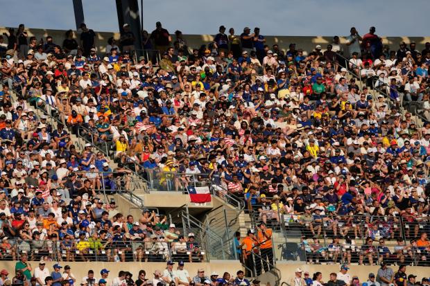 Supporters cheer during the World Cup match between France and Sweden.