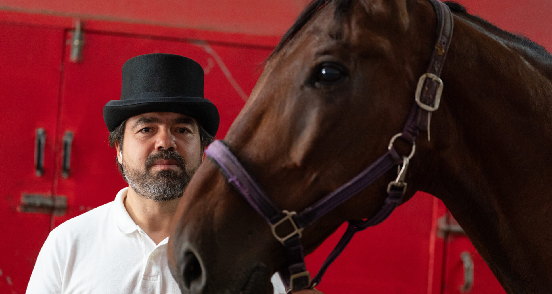 Central Park carriage horse drivers want better regulations, not a ban