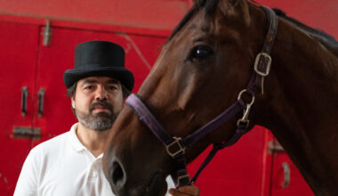 Central Park carriage horse drivers want better regulations, not a ban