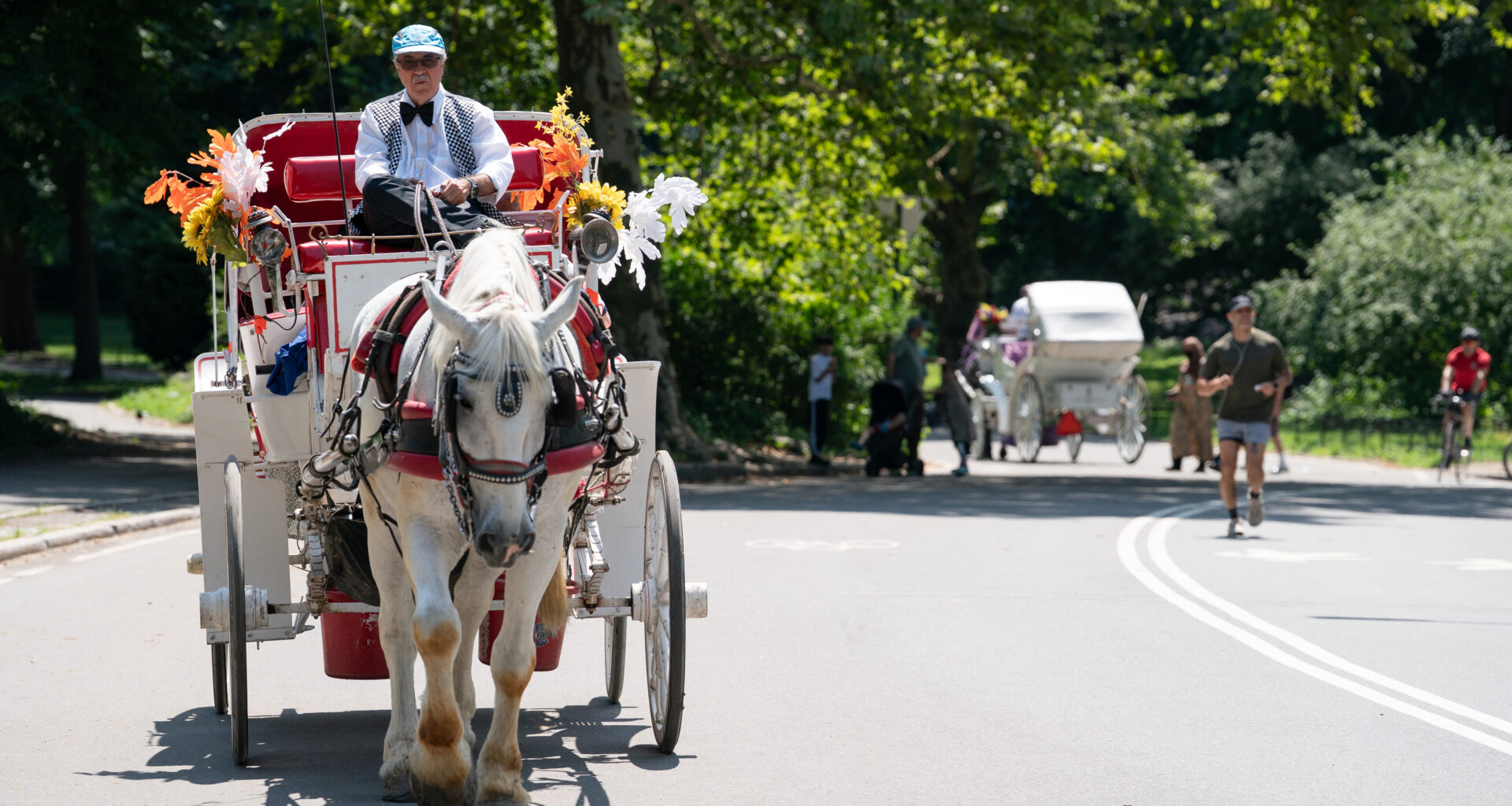 Readers sound off on horse carriage workers, healthy movement and socialism's benefits