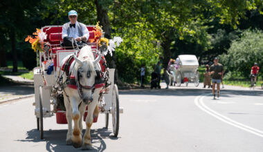 Readers sound off on horse carriage workers, healthy movement and socialism's benefits