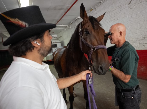 Horse carriage owner and driver Ahmet Bilici (left) holds his horse, Chocolate, during its twice yearly health exam at the Clinton Park Stables Association stables on Thursday, July 23 2026 in New York. (Barry Williams/ New York Daily News)