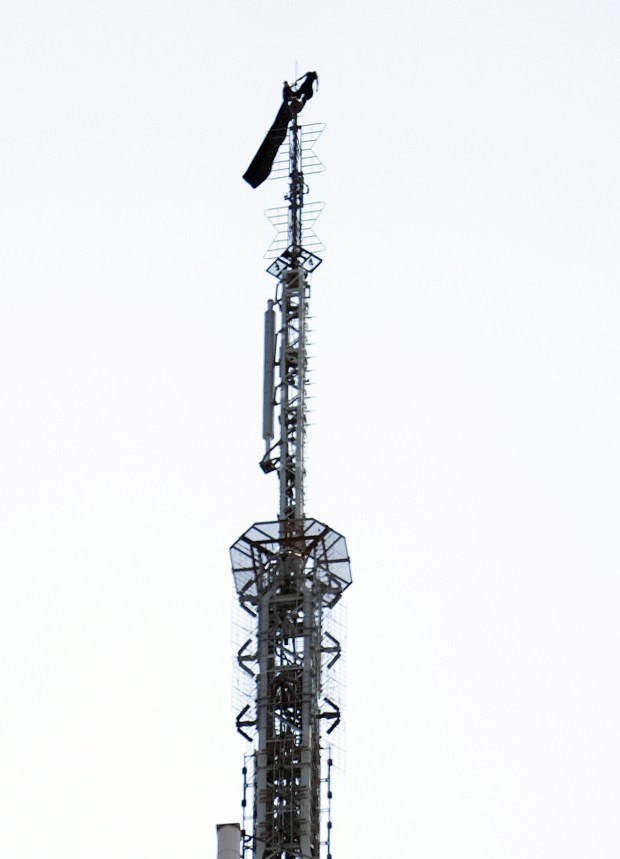 Two people are pictured on top spire of the Empire State Building Wednesday, July 1, 2026 in New York City. (Barry Williams/ New York Daily News)