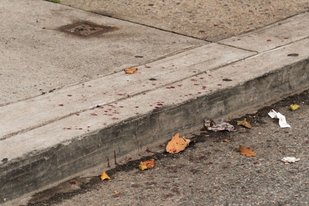 Blood is seen on the sidewalk after an off-duty officer was slashed on Bell Blvd. near 39th Ave. in Bayside, Queens, on Wednesday, July 22, 2026. (Gardiner Anderson / New York Daily News)