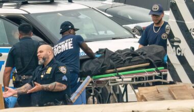 Man found dead lying in marsh along Hutchinson River in Bronx
