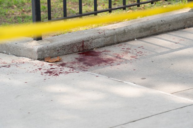 A 34-year-old man was repeatedly stabbed outside the NYCHA Bayview Houses on Shore Parkway near Rockaway Parkway in Canarsiey, Brooklyn on Monday, July 27, 2026. (Theodore Parisienne / New York Daily News)
