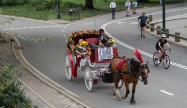 Council Speaker Menin backs ban on NYC horse carriages ahead of hearing