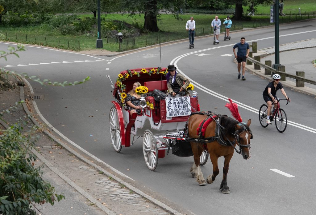 Council Speaker Menin backs ban on NYC horse carriages ahead of hearing