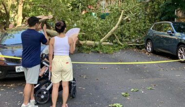 This couple on Pierrepont Street in Brooklyn Heights surveyed the damage from Friday night’s storm. Photo: Mary Frost/Brooklyn Eagle