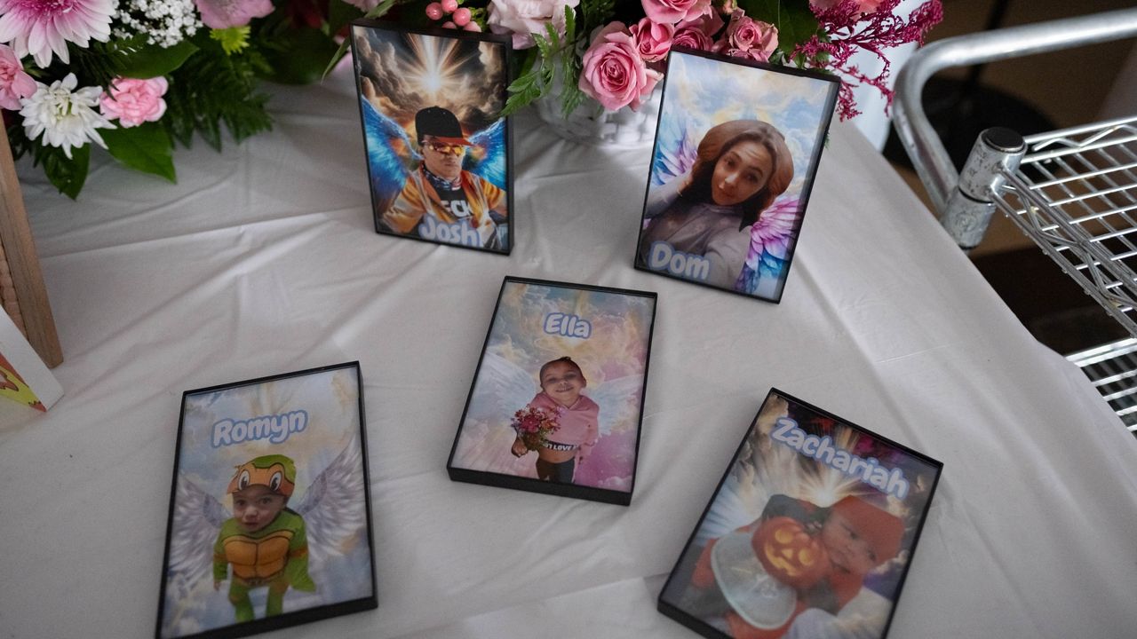 Photos of the family