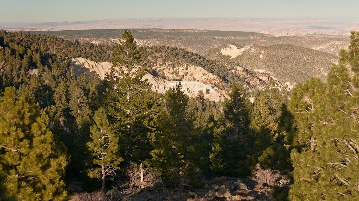 View of Fishlake National Park