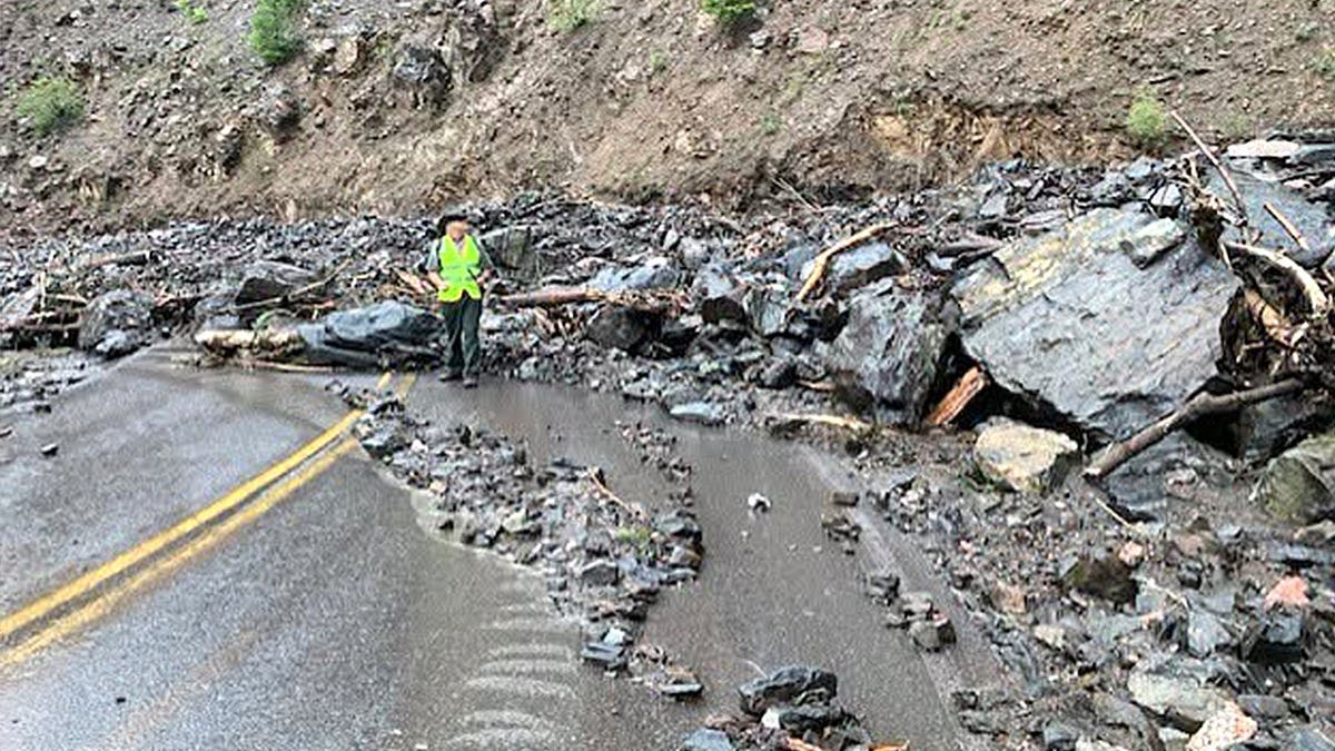 Forest worker near debris after mudslide