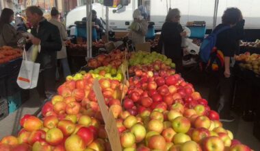 farmer's market
