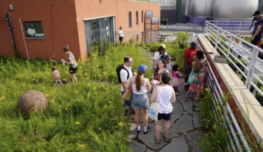 Free kid-friendly events this week in Brooklyn (7/27-8/2) | Brooklyn Bridge Parents