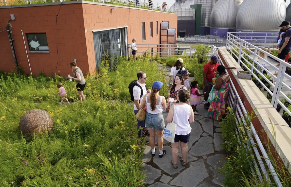 Free kid-friendly events this week in Brooklyn (7/27-8/2) | Brooklyn Bridge Parents